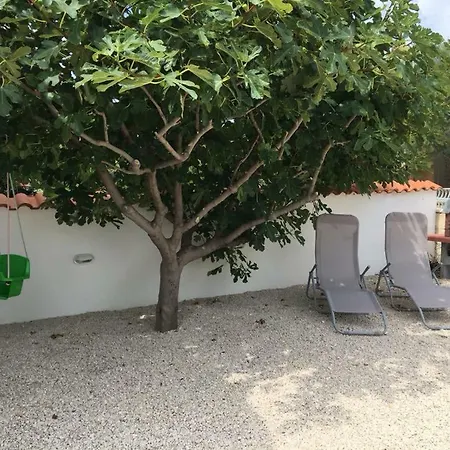 Marina *
